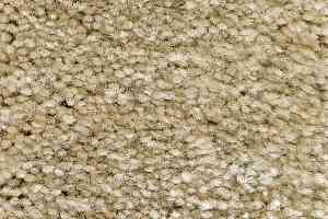 Ковролин AW Masquerade Gaudia 29 фото  | FLOORDEALER